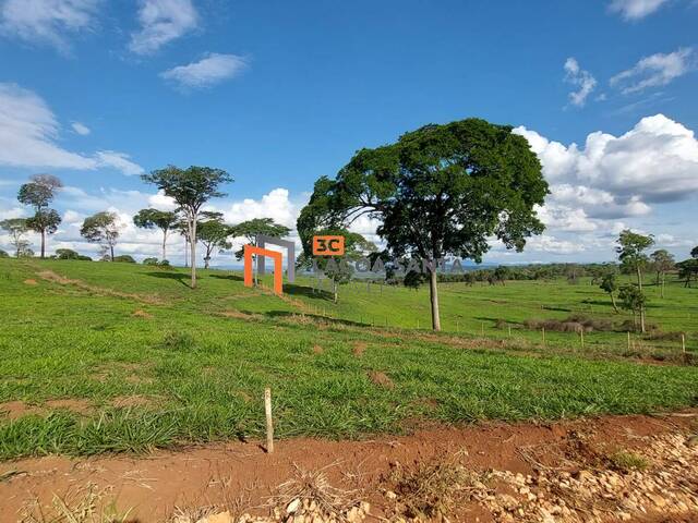 #23115 - Fazendinhas para Venda em Pedro Leopoldo - MG - 2