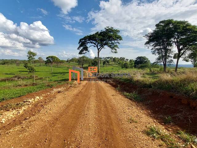 #23115 - Fazendinhas para Venda em Pedro Leopoldo - MG - 1