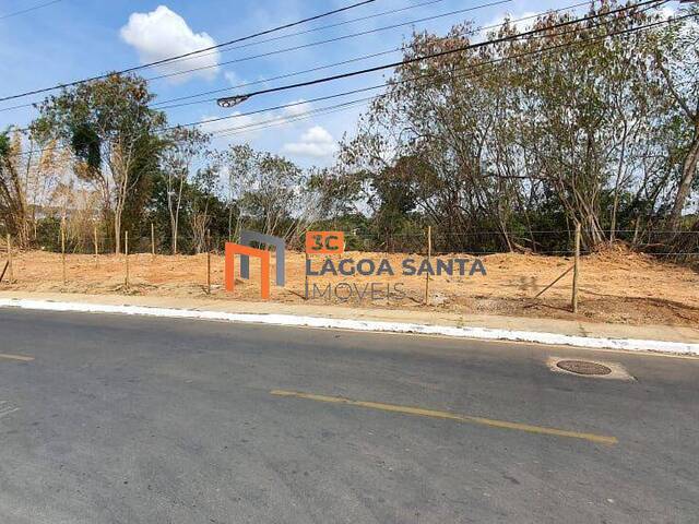 #24223 - Lote para Venda em Lagoa Santa - MG - 2