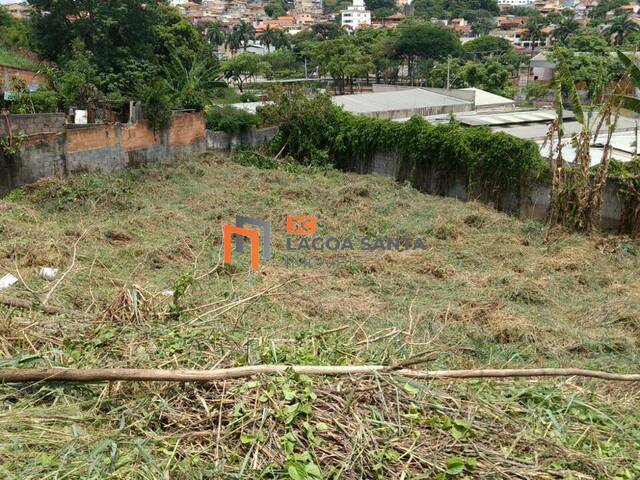 #24320 - Lote para Venda em Belo Horizonte - MG - 1