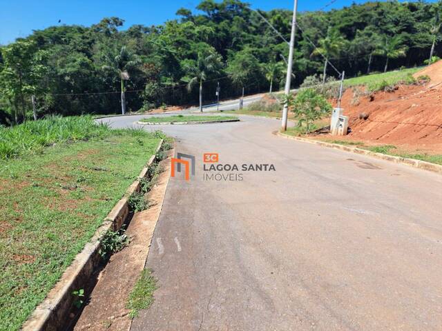 #24101 - Lote para Venda em Lagoa Santa - MG - 3